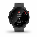 Garmin Forerunner 55 Monterra Grey [010-02562-13]