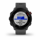 Garmin Forerunner 55 Monterra Grey [010-02562-13]